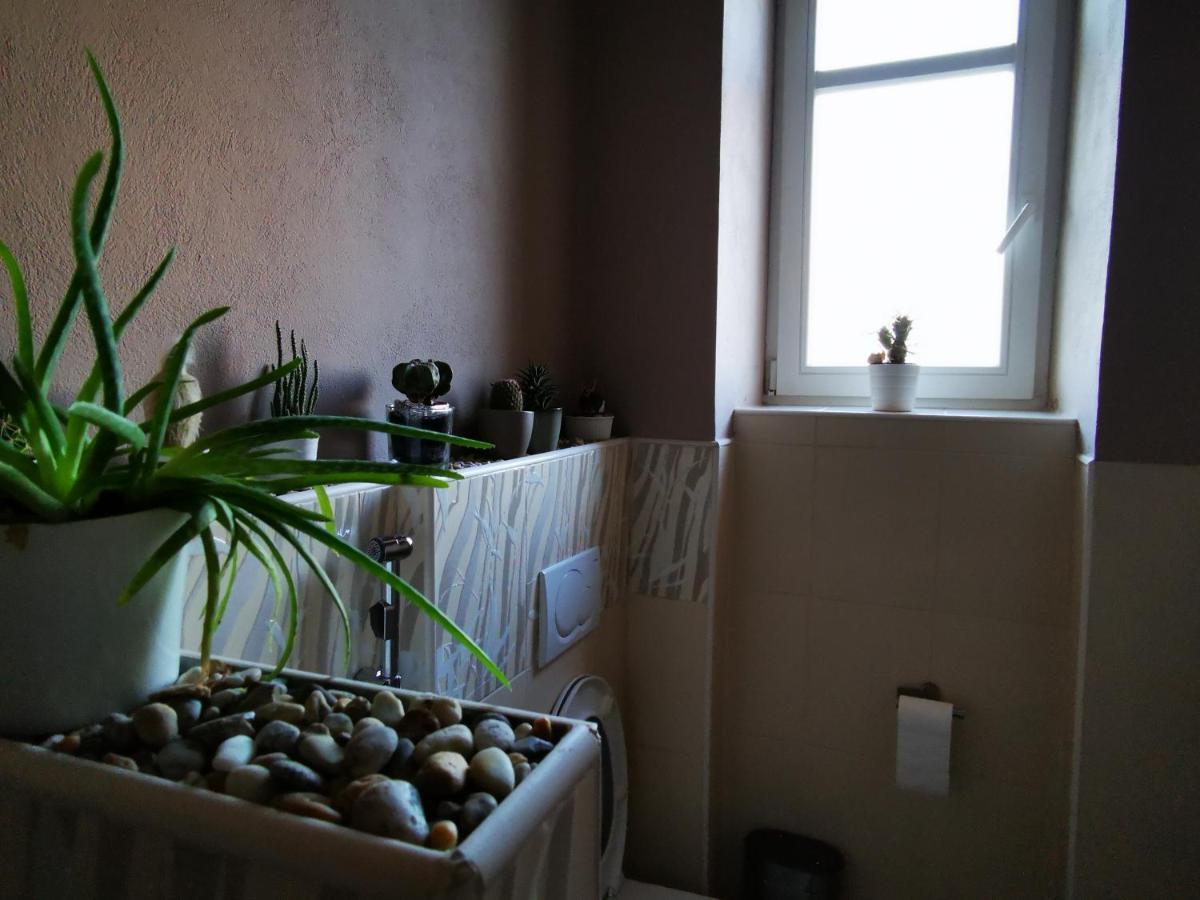 Falcon Apartment Trnava Buitenkant foto